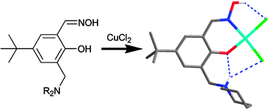 Graphical abstract: Transport of metal salts by zwitterionic ligands; simple but highly efficient salicylaldoxime extractants