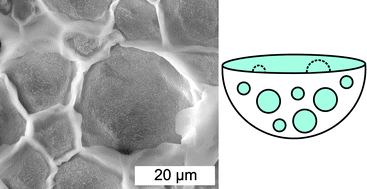 Graphical abstract: Bicontinuous hydrogel–hydrophobic polymer systems through emulsion templated simultaneous polymerizations