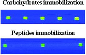 Graphical abstract: Surface patterning of (bio)molecules onto the inner wall of fused-silica capillary tubes