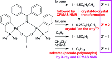 Graphical abstract: Structure–solid-state CPMAS 13C NMR correlation in palladacycle solvates (pseudo-polymorphs) with a transformation from Z′ = 1 to Z′ = 2