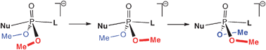 Stepwise walden inversion in nucleophilic substitution at phosphorus ...