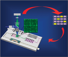 Graphical abstract: Integrative systems control approach for reactivating Kaposi’s sarcoma-associated herpesvirus (KSHV) with combinatory drugs