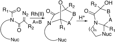 Graphical abstract: Domino reactions of rhodium(ii) carbenoids for alkaloid synthesis