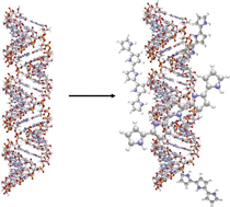 Graphical abstract: DNA-based routes to semiconducting nanomaterials