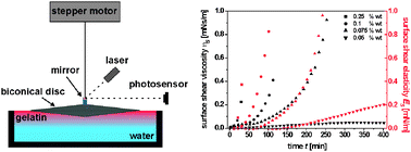 Graphical abstract: Film formation and surface gelation of gelatin molecules at the water/air interface