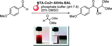 Carboligation reactions with benzaldehyde lyase immobilized on ...