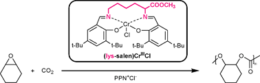 Graphical abstract: Copolymerization of CO2 and cyclohexene oxide using a lysine-based (salen)CrIIICl catalyst