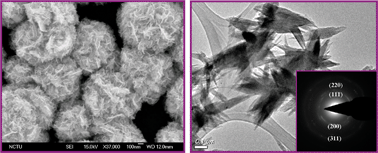 Graphical abstract: Facile approach to the synthesis of 3D platinum nanoflowers and their electrochemical characteristics