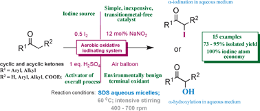 Graphical abstract: Aerobic oxidative iodination of ketones catalysed by sodium nitrite “on water” or in a micelle-based aqueous system