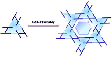 Graphical abstract: N-Substituted pyridazines as building blocks in novel supramolecular architectures