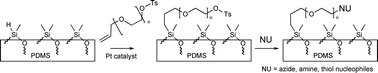 Graphical abstract: Generic, SN2 reactive silicone surfaces protected by poly(ethylene glycol) linkers: facile routes to new materials