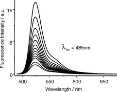 Graphical abstract: Photophysics and stability of cyano-substituted boradiazaindacene dyes