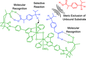 Graphical abstract: Molecular recognition in Mn-catalyzed C–H oxidation. Reaction mechanism and origin of selectivity from a DFT perspective