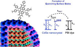 Graphical abstract: FRET and ligand related NON-FRET processes in single quantum dot-perylene bisimide assemblies