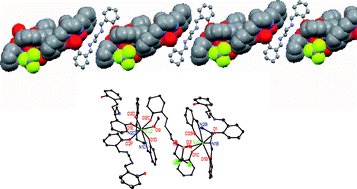 Graphical abstract: Syntheses, structures, and photoluminescence of 1-D lanthanide coordination polymers