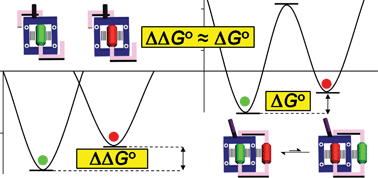 Graphical abstract: Thermodynamic forecasting of mechanically interlocked switches