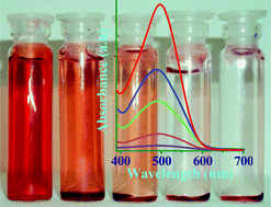 Graphical abstract: Adsorption–desorption and photocatalytic properties of inorganic–organic hybrid cadmium thiosulfate compounds