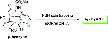 Calicheamicin γ1I and phenyl tert butyl nitrone PBN observation of a kinetic isotope effect