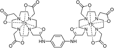 Graphical abstract: Controlled preparation of a heterometallic lanthanide complex containing different lanthanides in symmetrical binding pockets