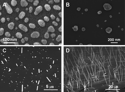 Graphical abstract: Use of simple thermal annealing processes to prepare free-standing platinum rods