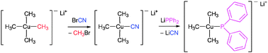 Graphical abstract: Organocuprate(iii) chemistry: synthesis and reactivity of amido, cyano, phosphido and thiolato ate complexes of copper(iii)