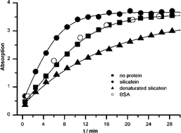 Formation of silicones mediated by the sponge enzymesilicatein-α,10. ...