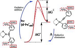 Graphical abstract: Photochemical behavior of (bisphosphane)(η2-tolane)Pt0 complexes. Part B: An insight from DFT calculations