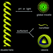 Graphical abstract: Rationally designed helical nanofibers via multiple non-covalent interactions: fabrication and modulation