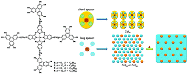 Graphical abstract: Columnar liquid crystalline assembly of doubly discotic supermolecules based on tetra-triphenylene-substituted phthalocyanine