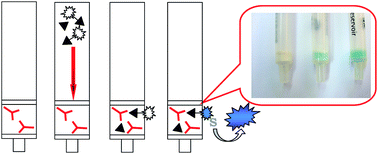 Graphical abstract: Rapid method for qualitative detection of 2,4,6-trinitrotoluene in environmental water samples