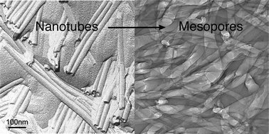 Graphical abstract: Mesoporous polymeric catalysts synthesized from self-assembled organic nanotubes as templates