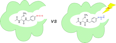 Graphical abstract: Proteomic searches comparing two (R)-lacosamide affinity baits: An electrophilic arylisothiocyanate and a photoactivated arylazide group