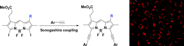 Graphical abstract: Long wavelength red fluorescent dyes from 3,5-diiodo-BODIPYs