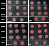 Graphical abstract: Efficacy of surface sampling methods for different types of beryllium compounds