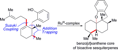 Graphical abstract: Enantioselective assembly of the benzo[d]xanthene tetracyclic core of anti-influenza active natural products