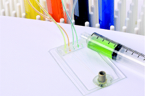 Graphical abstract: A simple method for the evaluation of microfluidic architecture using flow quantitation via a multiplexed fluidic resistance measurement