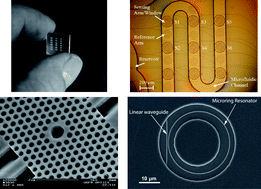 Graphical abstract: Photonics-on-a-chip: recent advances in integrated waveguides as enabling detection elements for real-world, lab-on-a-chip biosensing applications