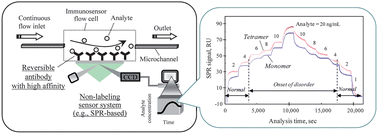 Minimum-step immuno-analysis based on continuous recycling of the ...