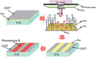 Fluorescence imaging of hydroxyl radicals at superhydrophobic gold ...