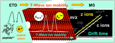 Graphical abstract: Identifying drug metallation sites on peptides using electron transfer dissociation (ETD), collision induced dissociation (CID) and ion mobility-mass spectrometry (IM-MS)