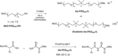 Graphical abstract: Synthesis of a new hydrophilic poly(ethylene glycol)-ionic liquid and its application in peptide synthesis