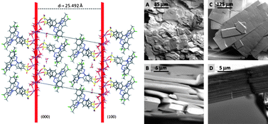 Graphical abstract: Celecoxib sodium salt: engineering crystal forms for performance
