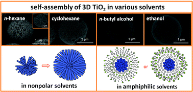 Graphical abstract: Solvent-controlled synthesis of three-dimensional TiO2 nanostructuresvia a one-step solvothermal route