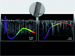 Graphical abstract: Controllable growth and optical properties of ZnO nanostructures on Si nanowire arrays