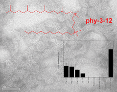 Graphical abstract: Synthesis and aggregation properties of dissymmetric phytanyl-gemini surfactants for use as improved DNA transfection vectors