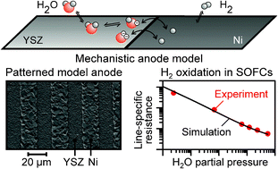 Graphical abstract: Model anodes and anode models for understanding the mechanism of hydrogen oxidation in solid oxide fuel cells