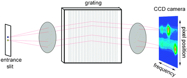 Graphical abstract: Bi-analyte single molecule SERS technique with simultaneous spatial resolution