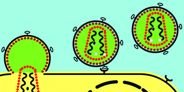 Graphical abstract: Targeting the protein–protein interactions of the HIV lifecycle