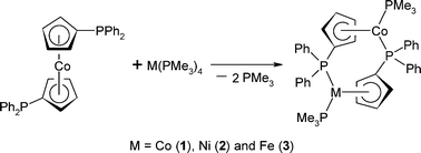 Graphical abstract: Synthesis, structure and DFT study of dinuclear iron, cobalt and nickel complexes with cyclopentadienyl-metal moieties