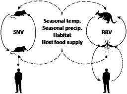 Graphical abstract: Environmental monitoring to enhance comprehension and control of infectious diseases